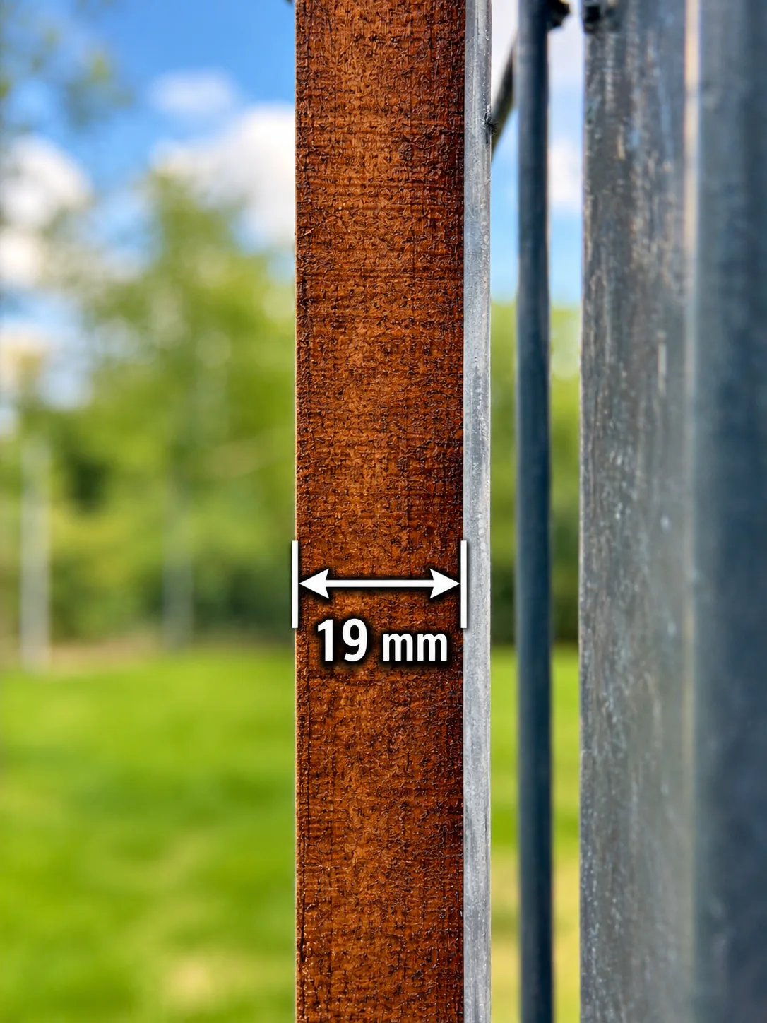 Detaliu grosime 19 mm pentru Șipcă lemn pentru gard bordurat 180 cm